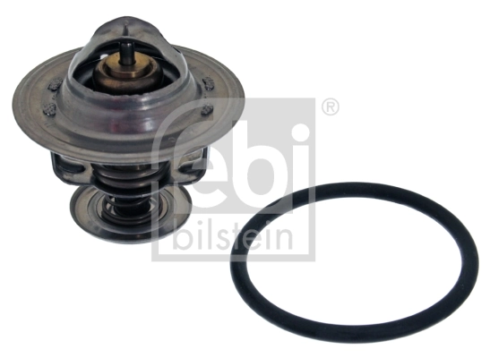 Thermostat, coolant